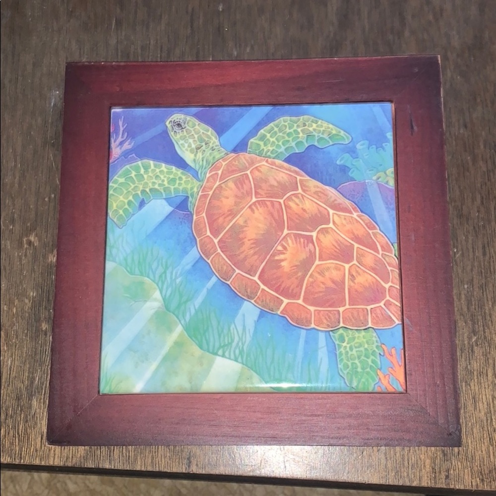 Cute turtle picture